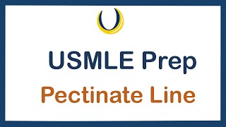 USMLE Prep Pectinate Line [upl. by Enelaehs]