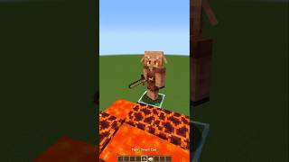 Piglin IQ Test in Minecraft😱 もういいよ [upl. by Cornelia432]