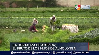 La hortaliza de América el fruto de los hijos de Almolonga [upl. by Collie233]