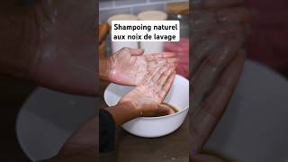 Shampoing naturel aux noix de lavage [upl. by Ganley917]