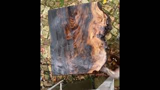 Clear Coat Wood Slab Time Lapse ✨ subscribe for more ✨ [upl. by Nekciv882]