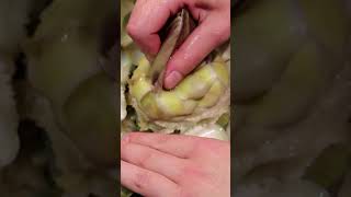 How to cook an artichoke YouTubeCreatorCommunity artichoke artichokes [upl. by Marsha]