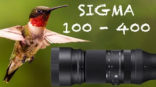 SIGMA 100  400 SONY E MOUNT IN 2023  Review [upl. by Noskcaj]