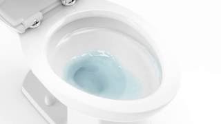 ActiClean SelfCleaning Toilet Animation  American Standard [upl. by Norat431]