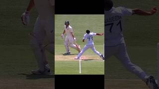 biggest mistake of cricket by Naseem shah 😂😂shorts youtubeshorts cricket funny [upl. by Meyeroff349]