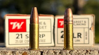 21 Sharp vs 22 LR Winchester’s Biggest Disappointment [upl. by Ecirtnas626]