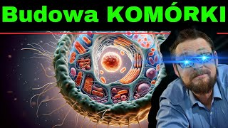 Komórka Najprościej o budowie komórki zwierzęcej Mitochondrium błona komórkowa wakuola jądro [upl. by Heady]