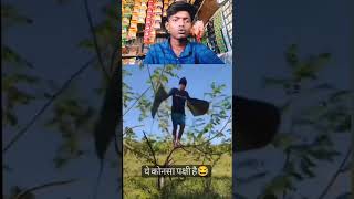 Kon sa bird hai 😅 viralshort funny youtubeshorts [upl. by Yeliak356]