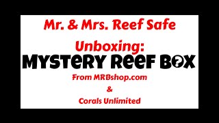 Mr amp Mrs Reef Safe  Unboxing Mystery Reef Box [upl. by Akinnej]