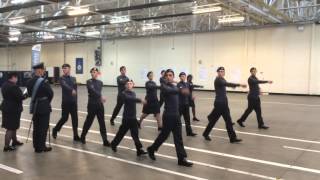 317 Failsworth Sqn  ACO Corps Drill and Banner Competition 2015 [upl. by Eisned]