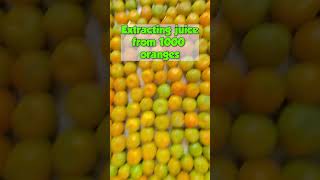 1000 ORANGES challenge😱🍊  shorts youtubeshorts stshorts [upl. by Neom]