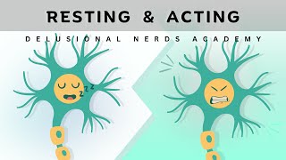 Resting vs Action Potential Simplified Explanation [upl. by Seleta]