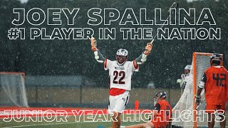 Joey Spallina  1 Player in the Nation  Junior Year Highlights  IL 5 ⭐️  Syracuse 26 [upl. by Eiger]