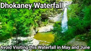 Dhokaney Waterfall  Nainitals Best Kept Secret  A Hidden Gem Near Nainital and Almora [upl. by Anomahs]