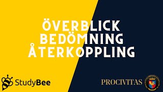 StudyBee Del 5  Överblick bedömning och återkoppling [upl. by Zildjian470]