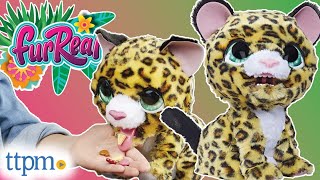 FurReal Lil Wilds Lolly the Leopard from Hasbro Review [upl. by Pytlik]