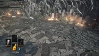 Dark Souls 3  Sirris and Yuria vs Hawkwood and Leonhard [upl. by Nevad453]