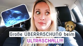 Vlog  Aufgeregt  Termin beim Frauenarzt  1 Zyklus nach Absetzen der Pille  Annis Blog [upl. by Parhe]