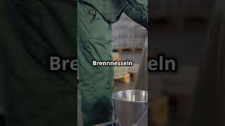 Erstaunliche Fakten über die Brennnessel [upl. by Sternlight]