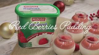 Red Berries Pudding Recipe with MARIGOLD Non Fat Yoghurt [upl. by Lebbie343]