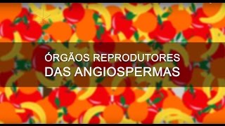 Dicas do Guia  Órgãos Reprodutores das Angiospermas  Biologia [upl. by Gnen]