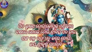 Jay jay gobinda episode 147bhakti song krushna odia bhajan [upl. by Navis424]