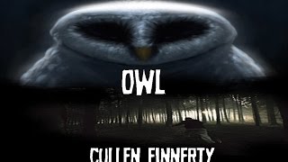 Owls  Cullen Finnerty [upl. by Anuahc686]