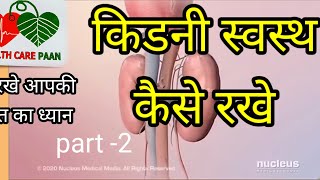 kidney ko swasth kaise rakhe health Care Paan [upl. by Thibaut]