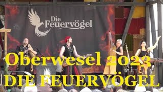 19 Mittelalterliches Spectaculum Oberwesel 2023  Die Feuervögel [upl. by Arihk]