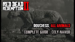 Red Dead Redemption 2  Duchesses and other Animals Complete walkthrough [upl. by Sorips]