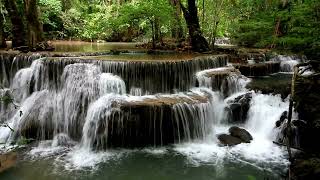 “Waterfall Birds amp Piano Music for Relaxation  ดนตรีผ่อนคลาย เสียงน้ำตก นก และเปียโน” [upl. by Grubb]