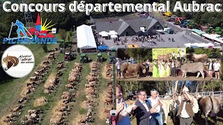 Concours départemental AUBRAC du PuydeDôme à Picherande [upl. by Arvell]