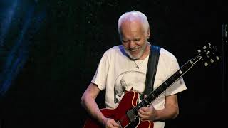 Peter Frampton Band – Georgia On My Mind Live [upl. by Ahcmis]