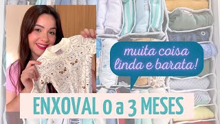 Enxoval do bebê 0 a 3 meses  O que eu comprei [upl. by Yeorgi967]