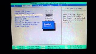 PC Bios Explained  Disable bit capability [upl. by Grochow595]