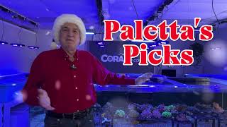 Special Holiday Edition of Palettas Picks With Reefing Legend Mike Paletta 12624 [upl. by Eugatnom]