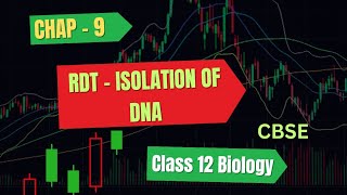 RDT Step 1  Isolation of DNA II Biotechnology ll Class 12 Biology ll CBSE [upl. by Obeng]