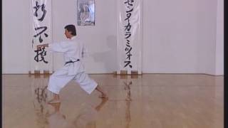 Shotokan  Taikyoku Shodan [upl. by Robbins]