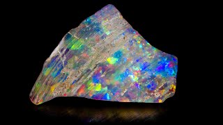 Polishing a opal fossil  Was it a bad idea [upl. by Korten]