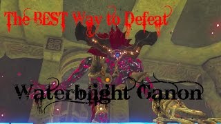 The BEST Way to Defeat Waterblight Ganon  Vah Ruta Divine Beast [upl. by Gorrian155]