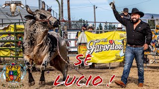 Se Lucio El Aguaje  De Sergio Pelayo Jr en Molalla Oregon Gira USA 2023 [upl. by Lasky]