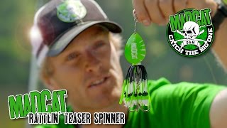 MADCAT Rattlin Teaser Spinner [upl. by Islehc568]