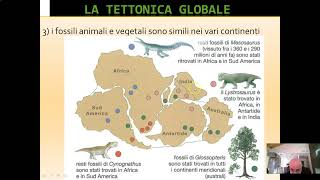 La tettonica globale deriva dei continenti [upl. by Leamhsi]