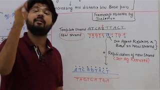 Intercalating agents Chemical mutagens CSIR DBT GATE NEET [upl. by Norel]