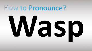 How to Pronounce Wasp [upl. by Irafat979]