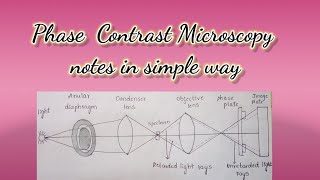 Phase Contrast Microscopy notesprinciple  working and application Advantages and disadvantages [upl. by Kosse622]