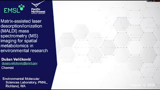 MALDI Mass Spectrometry Imaging for Spatial Metabolomics  Integrated Chemical Imaging Workshop [upl. by Ehtyaf428]