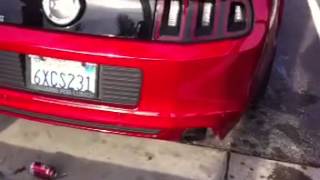 2013 mustang gt with Stage 3 comp cams idle [upl. by Wein]