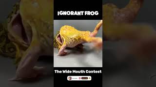 Ignorant Frog  The Wide Mouth Contest animals frog shorts [upl. by Lielos]