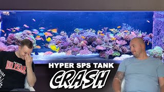 Wesleys Reef Tank CRASHED  Saltwater aquarium tour  quotSPS MASTERPIECEquot  Part I [upl. by Alyag]